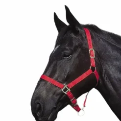- Licol en nylon rouge Licols Poneys|Licols En Nylon