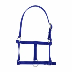 Licols Foals*Riding World - Licol foal roi Bleu