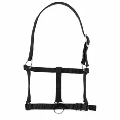 Sale - Licol foal Licols Foals