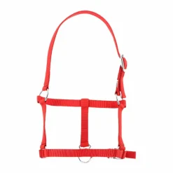Licols Foals*Riding World - Licol foal Rouge