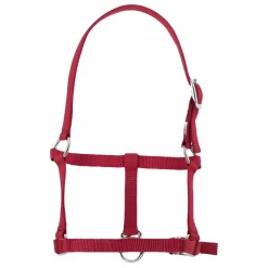 Licols Foals*Riding World - Licol foal Bordeaux