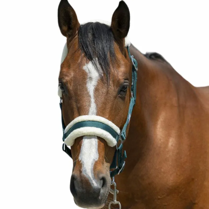 Licols Poneys*Riding World - Licol mouton synthétique foncé Vert