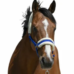 Online - Licol mouton synthétique roi Licols Poneys