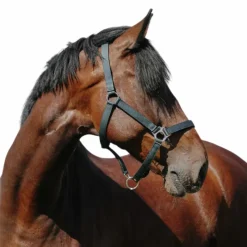 Licols Poneys*Riding World - Licol Nylon Cushion foncé Vert