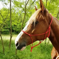 Éthologie|Licols Éthologiques*Riding World - Licol éthologique corde fin Rouge