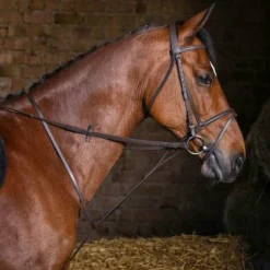 Concours Complet D'Equitation|Martingales*Riding World - Martingale à anneaux Havane