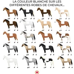 Online - Tapis de dressage Girly Dressage|Tapis De Dressage