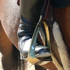 Étriers De Sécurité*Samshield - Étriers Shield'rup champagne brossé Doré