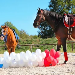 Best - Collier de chasse ébène argent Colliers De Chasse