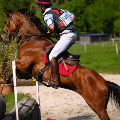 Tapis De Selle|Tapis Cso/ Mixtes*Tacante - Tapis de selle Excel-Anse mixte Rouge