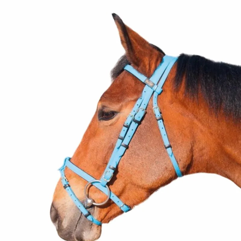 Outlet - Bridon Biotack® bleu ciel Bridons Poneys|Bridons