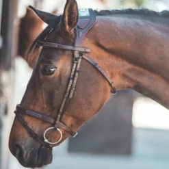 Cso|Bridons Poneys*TdeT - Bridon Chagall foncé Havane