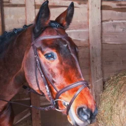 Bridons Poneys|Bridons*TdeT - Bridon et rênes Kessel muserolle combinée havane foncé