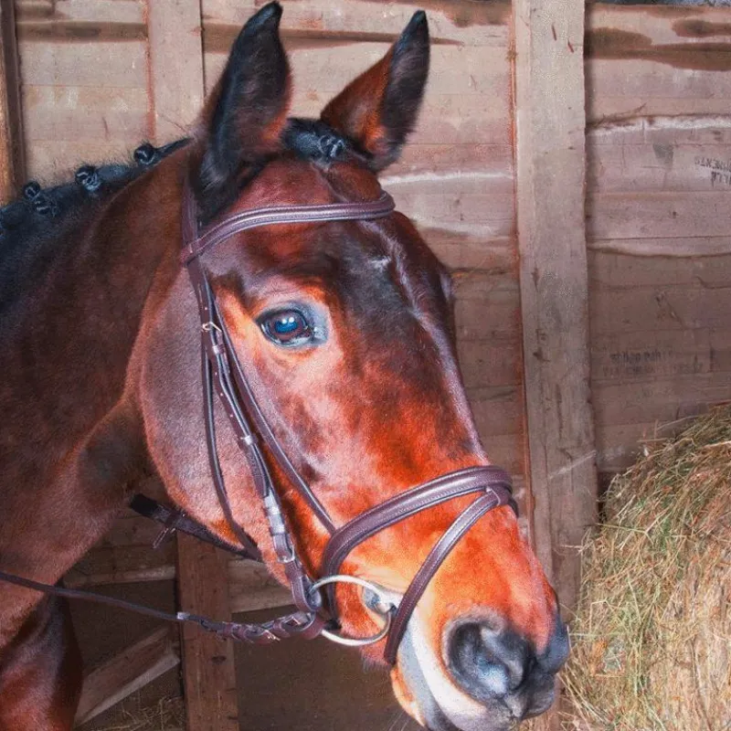 Bridons Poneys|Bridons*TdeT - Bridon et rênes Kessel muserolle combinée havane foncé