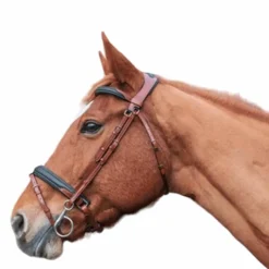 Outlet - Bridon et rênes Lautrec tabac/noir Bridons Poneys|Bridons