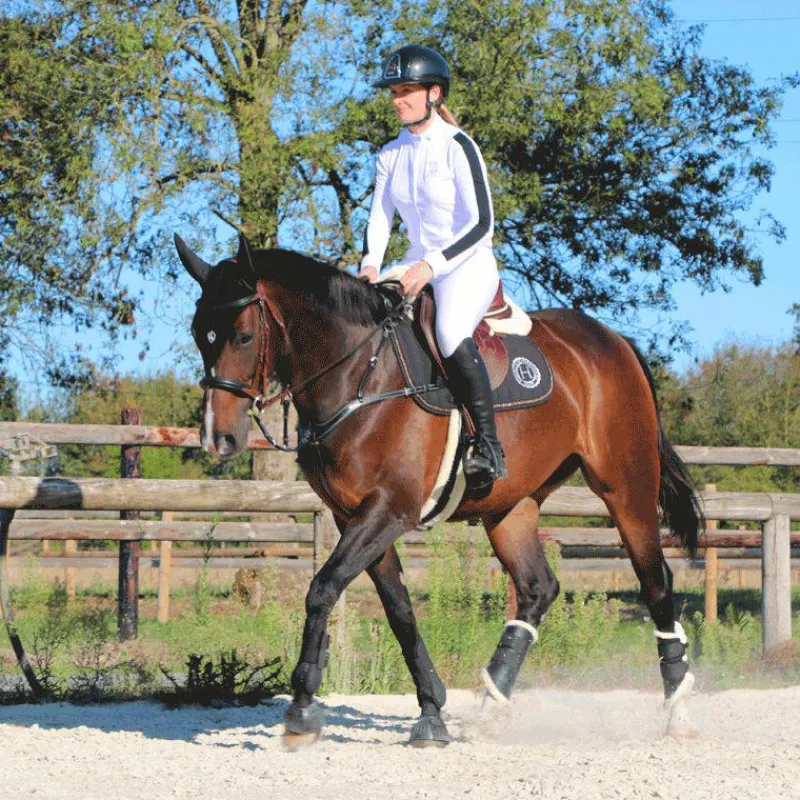 Outlet - Bridon et rênes Lautrec tabac/noir Bridons Poneys|Bridons