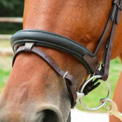 Cso|Bridons Poneys*TdeT - Bridon et rênes Lautrec havane foncé/noir