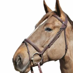 Cso|Bridons Poneys*TdeT - Bridon et rênes Raphael foncé Havane