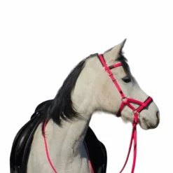 New - Bridon Sidepull Biotack® fuchsia Sidepull