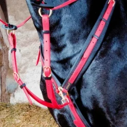 Clearance - Collier de chasse Biotack® rouge Colliers De Chasse