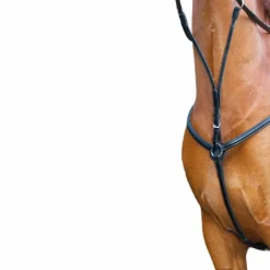 Colliers De Chasse Poneys|Colliers De Chasse*TdeT - Collier de chasse doublé noir