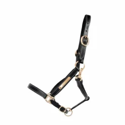 - Licol cuir avec plaque à graver noir Licols Poneys|Licols En Cuir