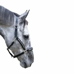 Licols En Cuir*TdeT - Licol cuir clincher noir blanc