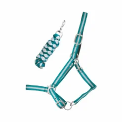 Hot - Licol doublé avec longe Américaine turquoise/ gris Licols Poneys|Ensembles Licols Et Longes