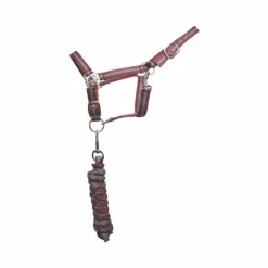 Sale - Licol doublé avec longe Américaine / gris Licols Poneys|Ensembles Licols Et Longes