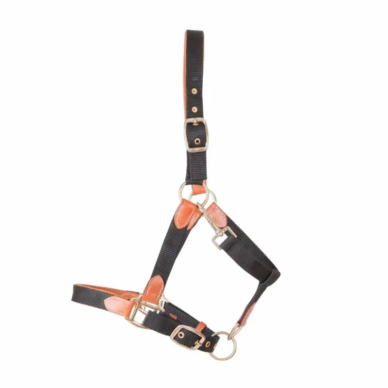 Licols Poneys|Licols En Cuir*TdeT - Licol en cuir et sangle noir