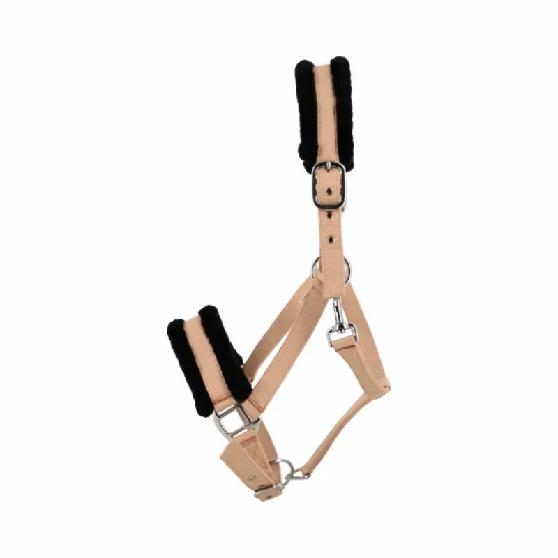 Licols Poneys*TdeT - Licol en nylon et mouton pêche/ noir Orange