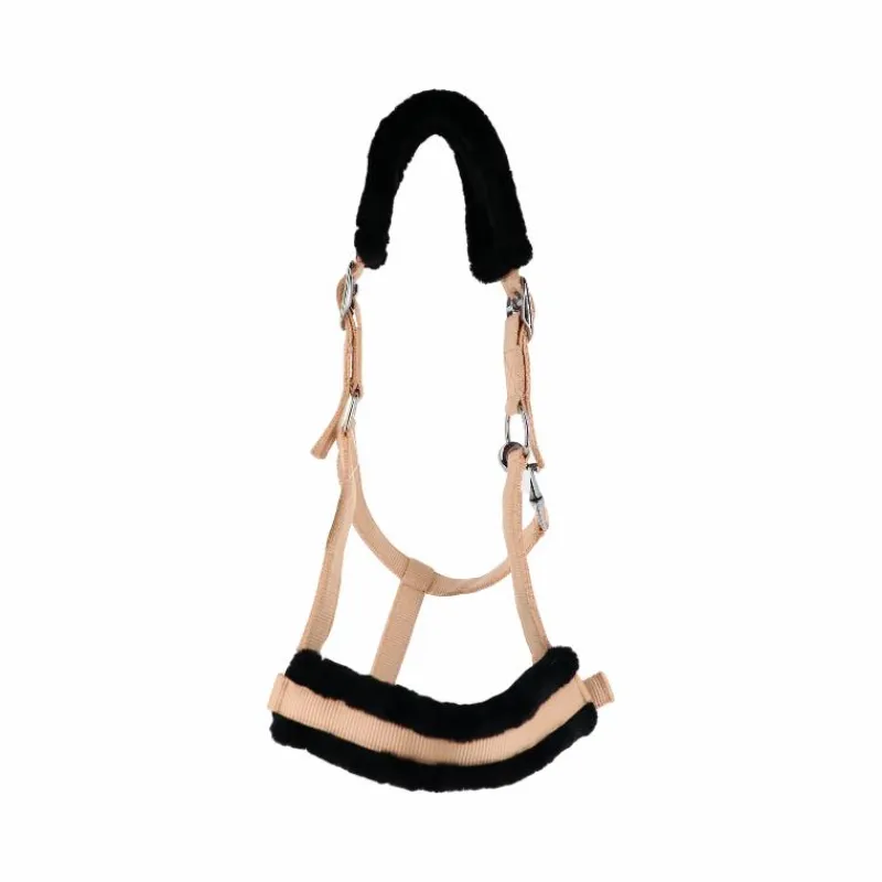 Licols Poneys*TdeT - Licol en nylon et mouton pêche/ noir Orange