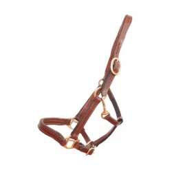 Hot - Licol foal en cuir tabac Licols Foals