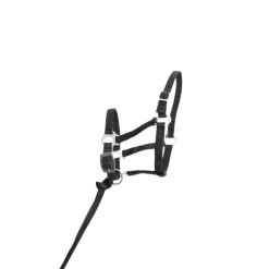 Discount - Licol foal synthétique noir Élevage|Licols Foals