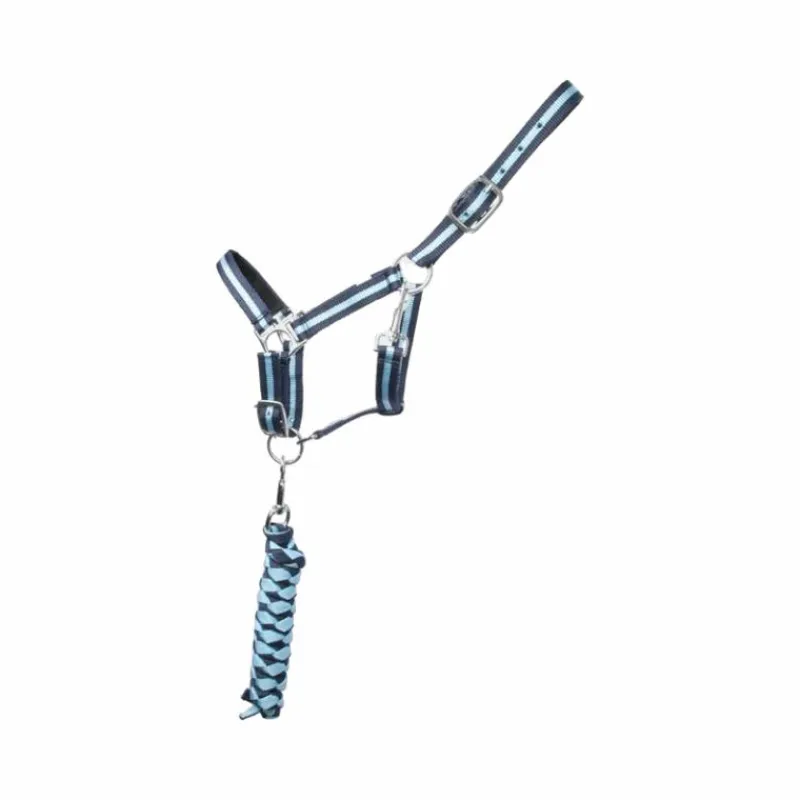 Licols Poneys|Ensembles Licols Et Longes*TdeT - Licol synthétique doublé + longe tressée marine/ ciel Bleu