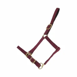 Licols Poneys|Licols En Nylon*TdeT - Licol synthétique doublé suédine Bordeaux