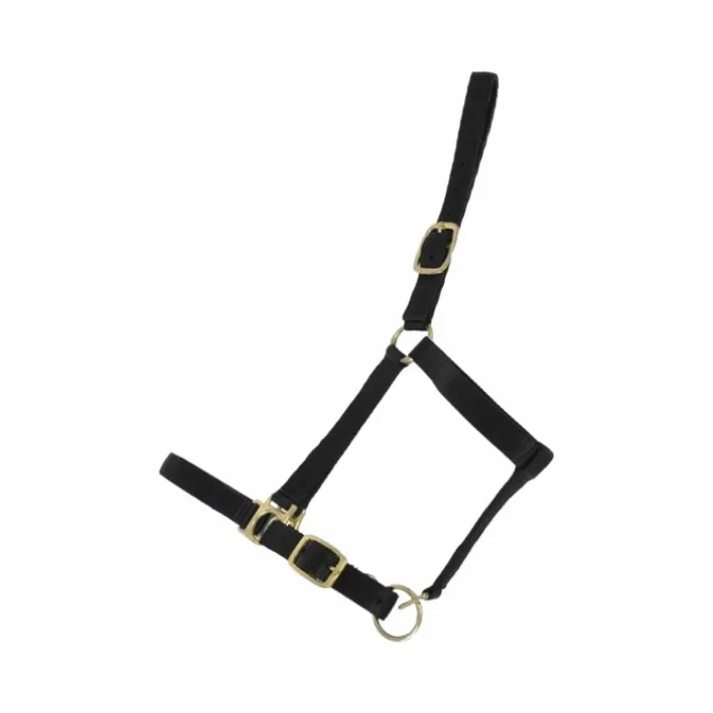 Licols Poneys|Licols En Nylon*TdeT - Licol synthétique doublé suédine Noir