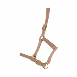 Licols Poneys|Licols En Nylon*TdeT - Licol synthétique doublé suédine Beige