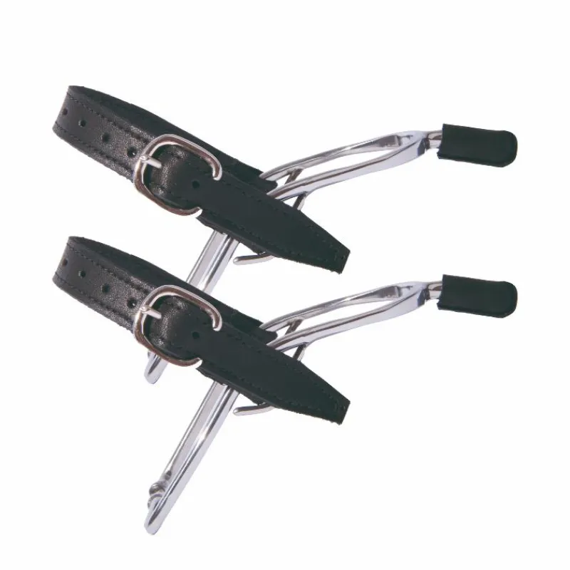 Éperons Prince De Galles*TdeT - Éperons en inox avec embout en cuir homme Gris