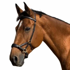 New - Sidepull en cuir No More havane foncé Sidepull