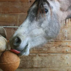 Électrolytes*Unika - Complément alimentaire Endurance