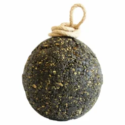 Clearance - Complément alimentaire système digestifs Gastro Flore Intestinale|Estomac