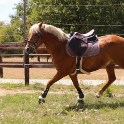 New - Cloches Safety Bell Save the Sheep Noir Concours Complet D'Equitation