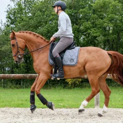 - Cloches Safety Bell noir Concours Complet D'Equitation