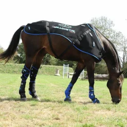 Accessoires De Massages|Guêtres D'Écurie*Veredus - Guêtres d'écurie postérieurs Magnetik x2