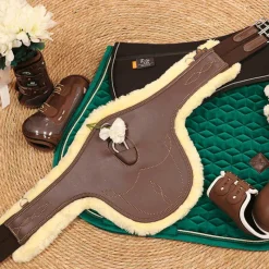 - Guêtres ouvertes Olympus Absolute x2 Cso|Guêtres Ouvertes