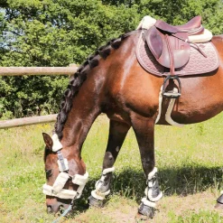 Discount - Guêtres ouvertes Carbon Gel Vento Save The Sheep Noir x2 Guêtres Ouvertes|Cso