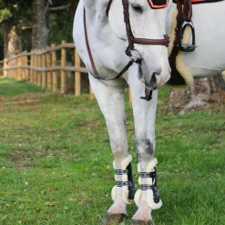 Discount - Guêtres ouvertes Carbon Gel Vento Save The Sheep Noir x2 Guêtres Ouvertes|Cso