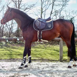 Discount - Guêtres ouvertes Carbon Gel Vento Save The Sheep Noir x2 Guêtres Ouvertes|Cso