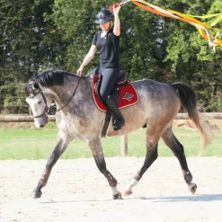 - Guêtres ouvertes Olympus Vento x2 Cso|Guêtres Ouvertes